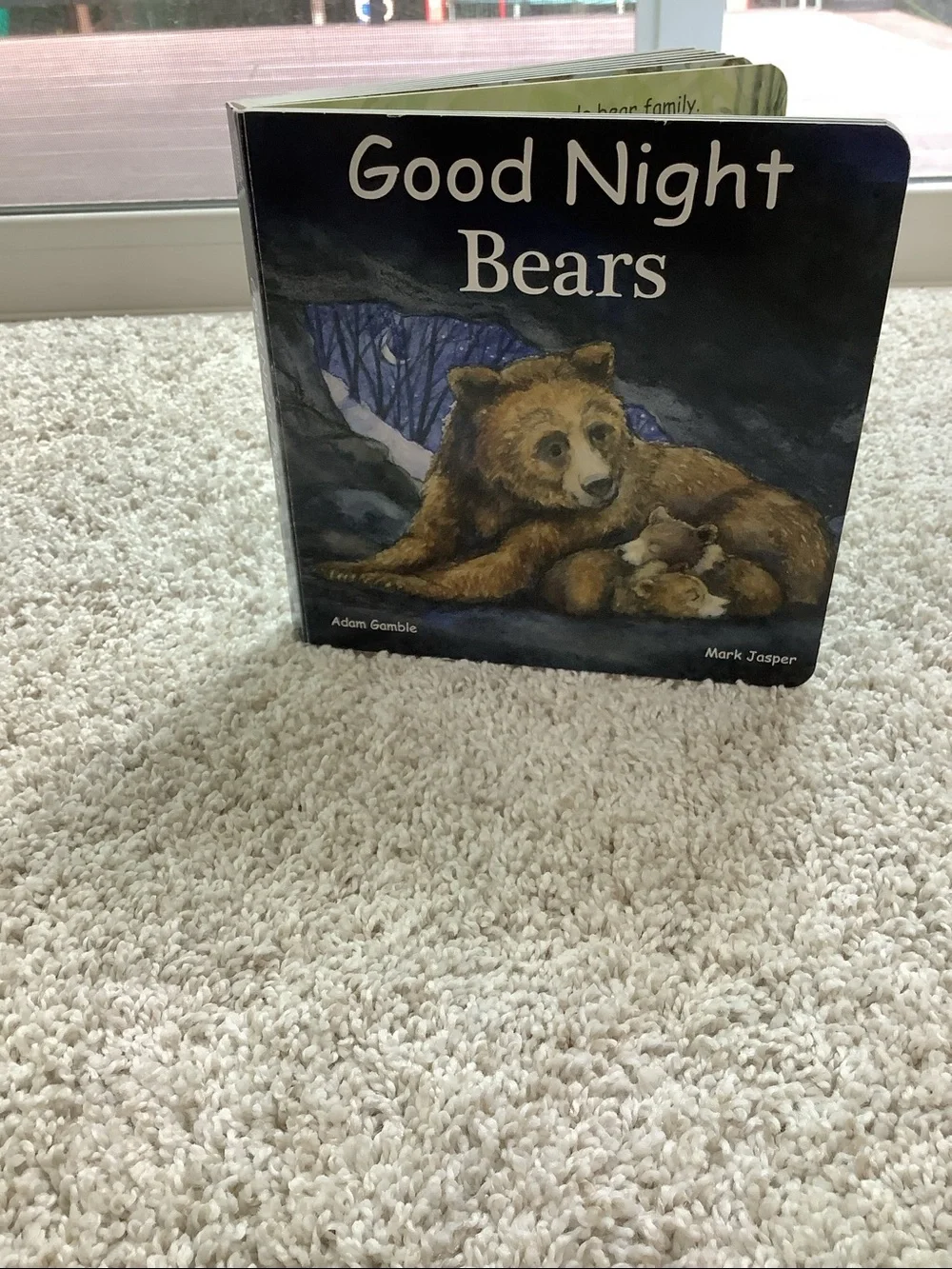 Good Night bears children’s books - Hardcover